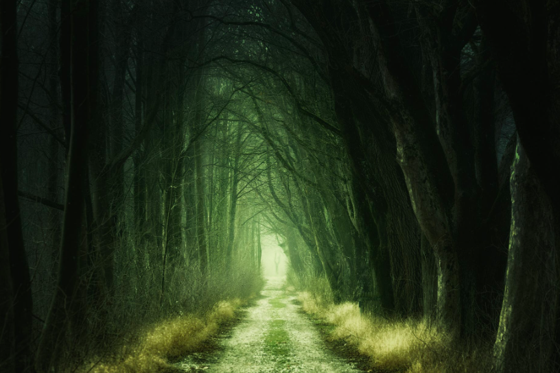 Mysterious Road